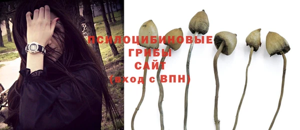 mix Лагань