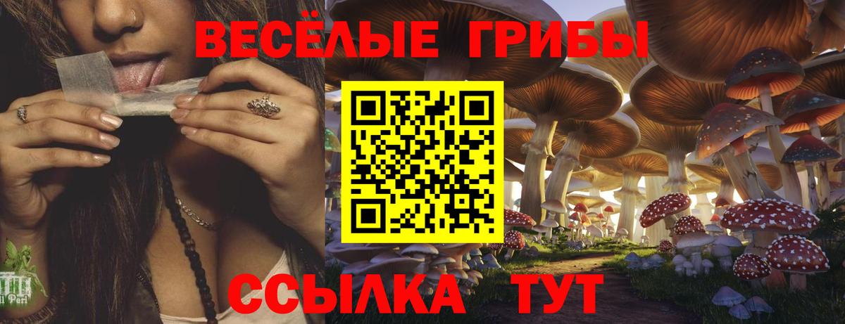 Псилоцибиновые грибы прущие грибы Комсомольск-на-Амуре